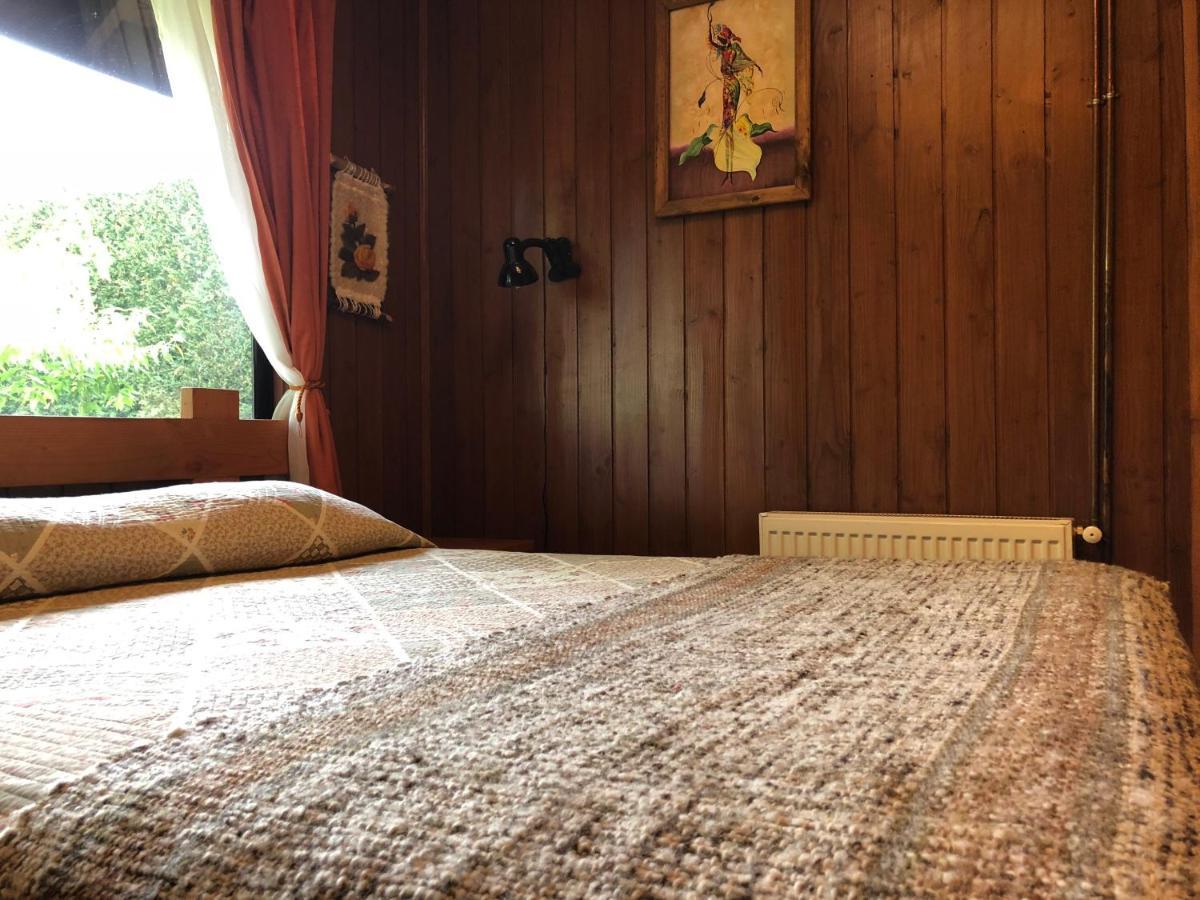 Hostal El Nogal 푸콘 외부 사진