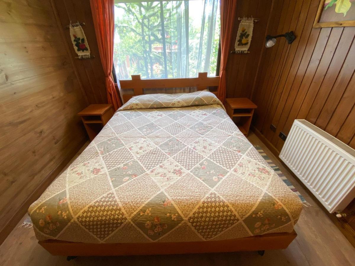 Hostal El Nogal 푸콘 외부 사진