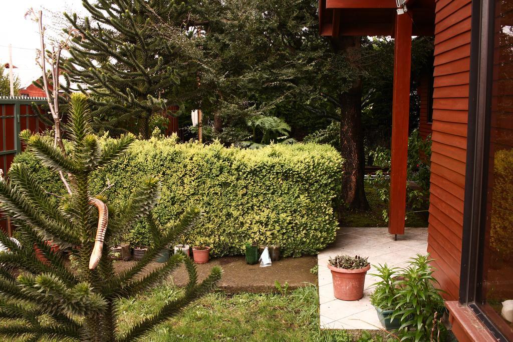 Hostal El Nogal 푸콘 외부 사진